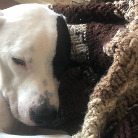 Meet your Posher, Cory - Picture 1 of 1